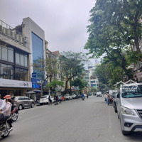 Giang Văn Minh, Tt Ba Đình, Ngõ To Như Phố, Mặt Tiền Bề Thế, An Sinh Đỉnh