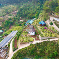 Bán Đất Đẹp Tại Phường 5, Đà Lạt, 12 Tỷ, 4000M2, Nhiều Tiện Ích