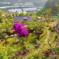 Bán Đất Đẹp Tại Phường 5, Đà Lạt, 12 Tỷ, 4000M2, Nhiều Tiện Ích
