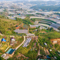 Bán Đất Đẹp Tại Phường 5, Đà Lạt, 12 Tỷ, 4000M2, Nhiều Tiện Ích