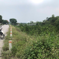Cần Tiền Cho Con Đi Du Học, Bán Gấp Lô Đất Gần 3000M2, Giá Mỗi M2 Chỉ Bằng Tô Phở