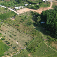 Bán Siêu Phẩm Nhà Vườn 21000M2 Cây Lâu Năm, Thiết Kế Kiến Trúc Rất Đẹp, Có Nhà, Vườn Cây Cảnh.