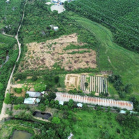 Bán Siêu Phẩm Nhà Vườn 21000M2 Cây Lâu Năm, Thiết Kế Kiến Trúc Rất Đẹp, Có Nhà, Vườn Cây Cảnh.