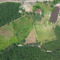 Bán Siêu Phẩm Nhà Vườn 21000M2 Cây Lâu Năm, Thiết Kế Kiến Trúc Rất Đẹp, Có Nhà, Vườn Cây Cảnh.