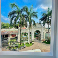 Bán Đất Hương Lộ 15 Thuận Tiện Phân Lô, Thạnh Phú, Vĩnh Cửu, 7,5 Tỷ, 4200M2 Chỉ Với Giá Siêu Hời