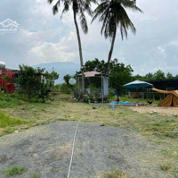 Bán Khu Vườn 4500M2 Có 400M2 Đất Ở Dưới Khu Du Lịch Bà Nà Hills.