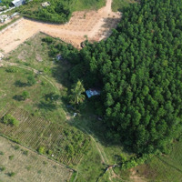 Bán Khu Vườn 4500M2 Có 400M2 Đất Ở Dưới Khu Du Lịch Bà Nà Hills.