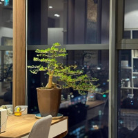 Chính Chủ Bán Chung Cư Gold Season 47 Nguyễn Tuân 102M2 Full Nội Thất