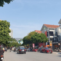 Bán Biệt Thự Làng Việt Kiều Châu Âu, Căn Góc View Vườn Hoa, Có Hầm,Diện Tích160M2 Giá Bán 45 Tỷ