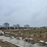 Bán Nhanh Đất Đấu Giá Vườn Đào Đông Anh Vị Trí Đắc Địa Kinh Doanh Đỉnh Cao Sát Hồ Sinh Thái