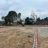 1 Lô Duy Nhất 450 Triệuiêu, Bao Trọn Pháp Lí, Ô Tô Quay Đầu Tận Đất, Dân Cư Thân Thiện