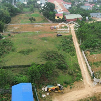 Bán Gấp Đất 1300M2 Tại Đông Xuân, Quốc Oai, Hà Nội, Giá Bán 16 Tỷ