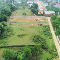 Bán Gấp Đất 1300M2 Tại Đông Xuân, Quốc Oai, Hà Nội, Giá Bán 16 Tỷ