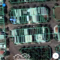 Bán Đất Tại D6, Tân Phú, Đồng Phú, Bình Phước, 3,6 Tỷ, 180M2