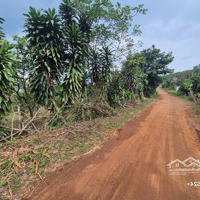 Đất View Hồ Lộc Tân - Đất Bám Mặt Hồ & Quy Hoạch Thổ Cư