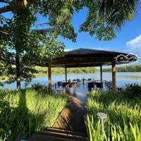 Cần Bán Biệt Thự Đảo 300M2 Hoàn Thiện Ecopark Grand