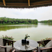 Cần Bán Biệt Thự Đảo 300M2 Hoàn Thiện Ecopark Grand