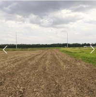 Bán 5742M2 Đất Xuân Thới Thượng, Hóc Môn Chỉ 17 Tỷ. Lh A Tư Toàn Chính Chủ 0584334455