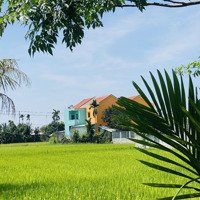View Lúa 2 Mặt Tiền Kiệt, Ngõ Hùng Vương, Hội An Đường Bê Tông 3M