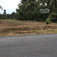 Bán Đất Chính Chủ Mặt Tiền Đường Tỉnh Lộ 904, Tam Bình, Vĩnh Long View 2 Mặt Tiền Rất Đẹp.