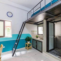 Tôi Giới Thiệu Anh Em Một Mỏ Vàng Đang Khai Thác Ngày Đêm Ở Trần Cung!