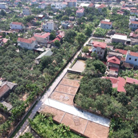 Bán Đất 85M2, 1,5 Tỷ Tại Xã Bạch Hạ, Phú Xuyên, Hà Nội - Chính Chủ Hàng Hot