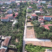 Bán Đất 85M2, 1,5 Tỷ Tại Xã Bạch Hạ, Phú Xuyên, Hà Nội - Chính Chủ Hàng Hot