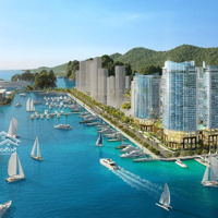 Cơ Hội Vàng Đầu Tư Đất Nền Ao Tiên Vân Đồn, Chỉ Từ 35 Triệu/M Sổ Đỏ Trao Tay, Gọi Ngay 0795205558