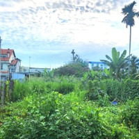 Giảm Sốc 1 Tỷ Bán Đất Thổ Cư Hẻm Xe Tải Tránh 200M2_8X25 Đặng Văn Bi Trường Thọ Thủ Đức Chỉ 18,5 Tỷ