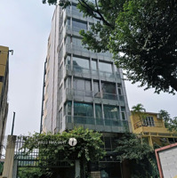 Dòng Tiền Tốt: 240 Triệu/Th. Mặt Tiền Trần Quang Khải, Quận 1. Diện Tích: 150M2 (7,5X20M), Hầm 6 Tầng. 45 Tỷ