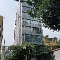 Dòng Tiền Tốt: 240 Triệu/Th. Mặt Tiền Trần Quang Khải, Quận 1. Diện Tích: 150M2 (7,5X20M), Hầm 6 Tầng. 45 Tỷ