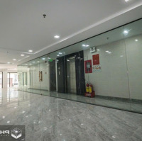 Building Mới Xây. Mặt Tiền Bạch Đằng, P2, Tân Bình. 198M2 (7X29M), Hầm + 8Tầng, Tn: 350 Triệu/Th. 46 Tỷ