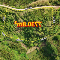 Đất View Săn Mây, View Đồi Núi, Cảnh Quan Thiên Nhiên Cực Đẹp Gần 8000M2 Chỉ 1.9 Tỷ