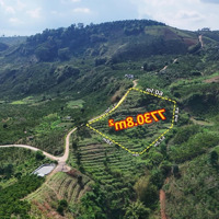 Đất View Săn Mây, View Đồi Núi, Cảnh Quan Thiên Nhiên Cực Đẹp Gần 8000M2 Chỉ 1.9 Tỷ