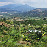 Đất View Săn Mây, View Đồi Núi, Cảnh Quan Thiên Nhiên Cực Đẹp Gần 8000M2 Chỉ 1.9 Tỷ