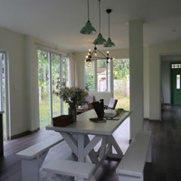 Bán Nhà Vườn Hòa Bắc, 350M2 Đất Ở Đường 5,5M Đang Khai Thác Du Lịch.