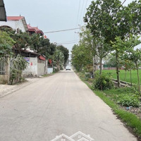 Bán Đất 164M2 Tại Xã Quang Tiến, Sóc Sơn, Hà Nội, Giá Ưu Đãi 6,5 Tỷ