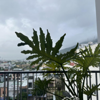 Chào Bán Lô Góc 2 Mặt Tiền View Công Viên Giai Đoạn 1 Nam Việt Á: Diện Tích: 126M2 Đường 10,5M Và 7,
