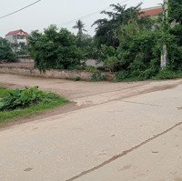Bán Lô Đất Kim Châu Kim Thư, Thanh Oai
Diện Tích 41,3M
Ô Tô Đỗ Cửa 500M Ra Ql21B
Mua Xây Nhà
