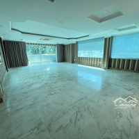 Cho Thuê Nhà Nguyên Căn 351A Lê Văn Sỹ Quận 3, Ngã Tư Trần Quang Diệu Tuyến Đường Đẹp Có Lề Rộng.
