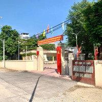 Bán Nhanh Lô Góc Hoa Hậu Đấu Giá Du Nội Mai Lâm Giá Đầu Tư Cách Cầu Tứ Liên 800M