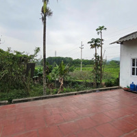 Chính Chủ Gửi Bán Lô Đất Đẹp Vị Trí Vàng Tại Lương Sơn, Hòa Bình