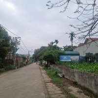Chủ Cần Bán Lô Đất Siêu Phun Thổ Cư Tại Đồng Vàng Phú Mãn Quốc Oai Hà Nội Đất Đẹp Quá Mà