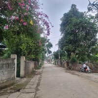 Chủ Cần Bán Lô Đất Siêu Phun Thổ Cư Tại Đồng Vàng Phú Mãn Quốc Oai Hà Nội Đất Đẹp Quá Mà