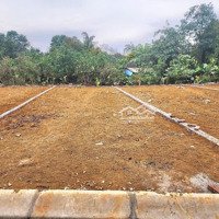 Bán Đất Yên Thái 106M2, Nhỉnh 2 Tỷ Tại Đường 21A, Xã Đông Yên, Quốc Oai, Hà Nội