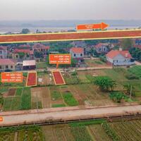 Cần bán lô đất đấu giá full thổ cư 125m2 tại Thanh Thủy - Phú Thọ