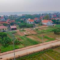 Cần bán lô đất đấu giá full thổ cư 125m2 tại Thanh Thủy - Phú Thọ
