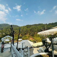 Bán Đất Đường Hoàng Hoa Thám View Rừng Thôngdiện Tích5000M2 Thuận Lợi Làm Resort Kinh Doanh Homestay Cf