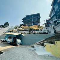 Bán Đất Đường Hoàng Hoa Thám View Rừng Thôngdiện Tích5000M2 Thuận Lợi Làm Resort Kinh Doanh Homestay Cf