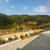 Bán Đất Đường Hoàng Hoa Thám View Rừng Thôngdiện Tích5000M2 Thuận Lợi Làm Resort Kinh Doanh Homestay Cf